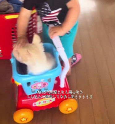 ドライブごっこを楽しんでいた