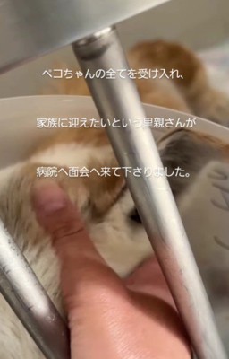 里親希望の方が面会に!