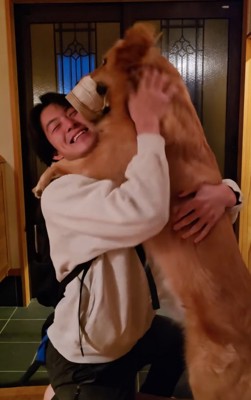 靴をくわえて顔に近づける大型犬