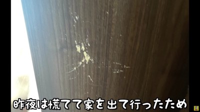 ママが心配で扉をカリカリ