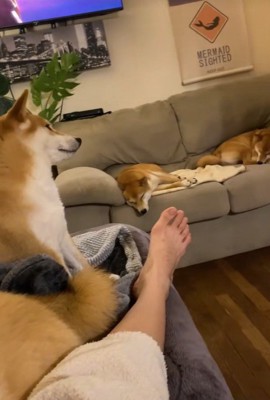 ウトウトしている子も