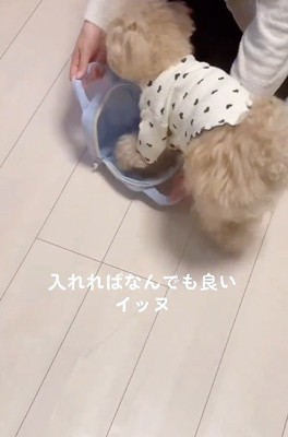 体をまとめて…