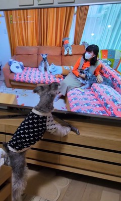 テレビに自分が出た時の風太くん3