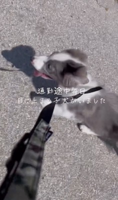 毎日気になっていました