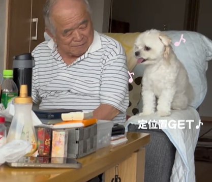 男性の横に座ってご機嫌な小型犬