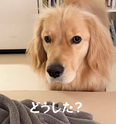 「本当にいいの…?」