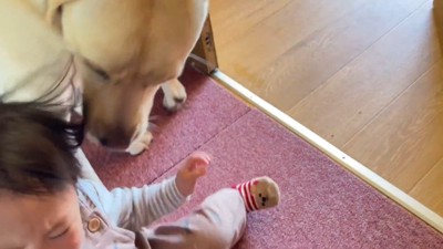 女の子が転んでしまう場面も…！
