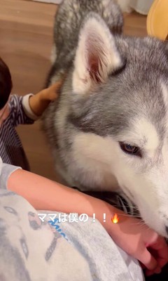 ママを取り合う星凪くん＆男の子