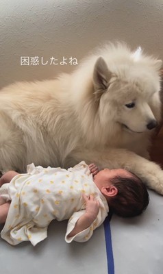 はくちゃんと赤ちゃん3