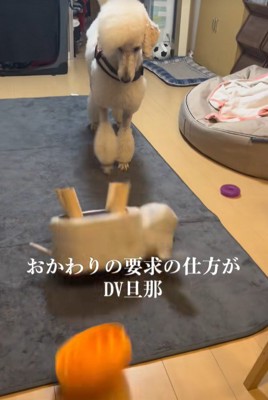 まさかのちゃぶ台返し（笑）