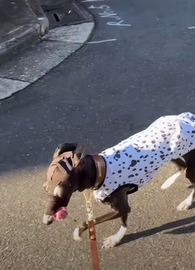 かっこいいのに本人は不服!?