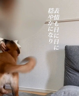 喜ぶビギーくん