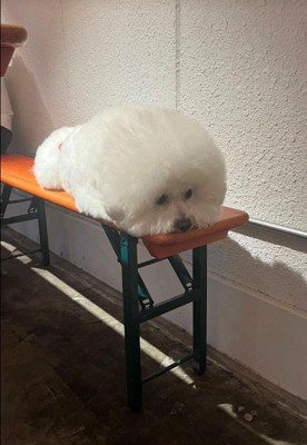 ぬいぐるみだと思われたようです（笑）