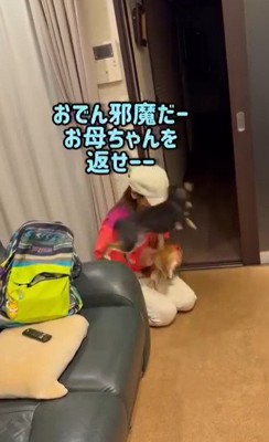 ジャンプする黒柴