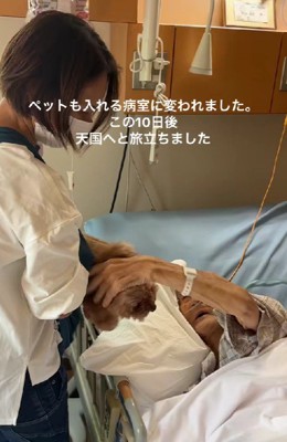 嬉しくてたまらない…