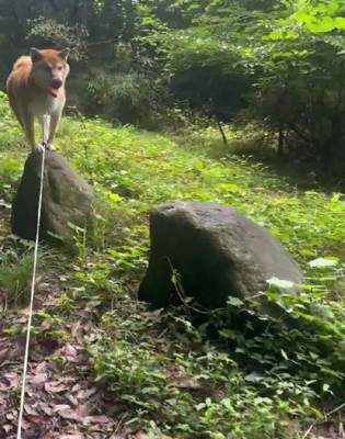 運動神経抜群な岳ちゃん
