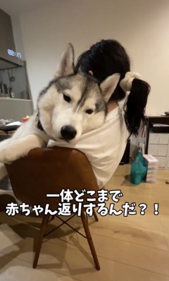 日々「赤ちゃん」を極めます