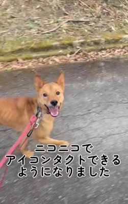 こんなに上手になったよ!