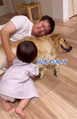 バッハくんを撫でる赤ちゃん