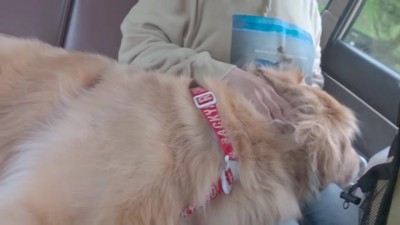 おばあちゃんにベッタリ♡