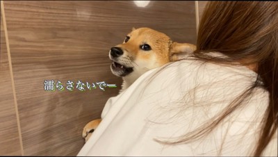 女性に抱きつく犬