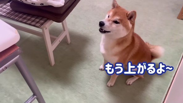 パパの声が聞こえると…