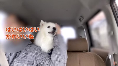 ぽてちゃんをなだめるママ