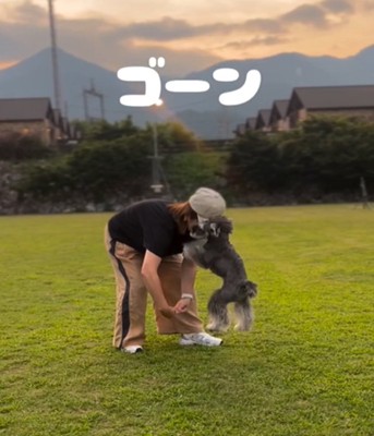 ぶつかる犬とママ