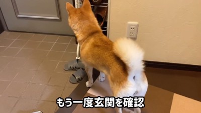 「帰ってくるかな?」と玄関へ