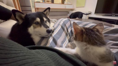 もみじちゃんを囲む大河くん＆銀河くん8