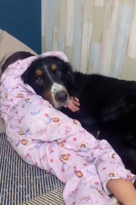 ハグを受け入れる犬