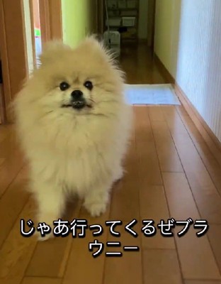 ちょっと飽きてきた？
