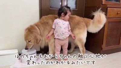 おからちゃんに近寄るほのちゃん