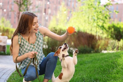 おもちゃで遊ぶ女性と犬