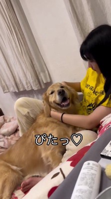 女の子に体を預けて、笑顔でカメラを見つめる犬