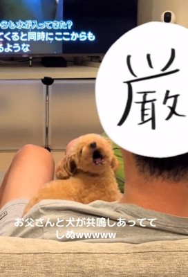 また遠吠えをするお父さん