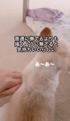 さらに声が出るうにちゃん