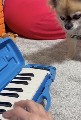 ついに…くる…！