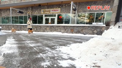 一瞬立ち止まるナラちゃん