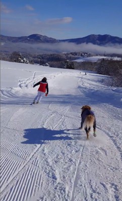 ゲレンデを爆走するリコくん3