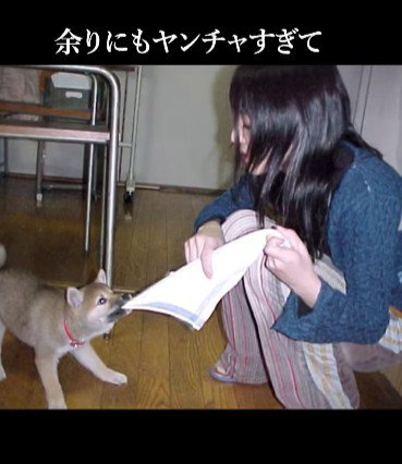 とってもヤンチャな性格