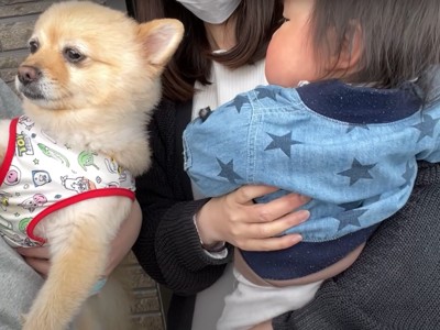 抱っこされた赤ちゃんと犬