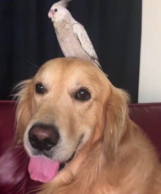 平和すぎて胸が痛い…♡