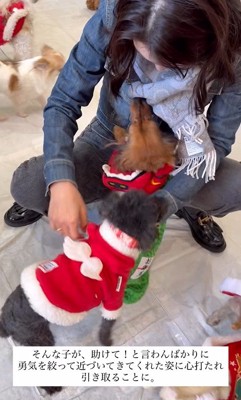 ラホちゃんとの出会いと現在5