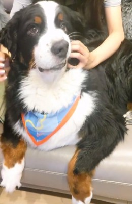 左頬が上がるハリーくん