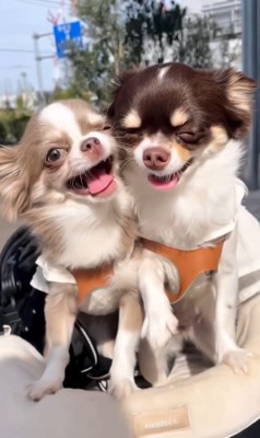 うにちゃんとつぶちゃんの1年間⑩