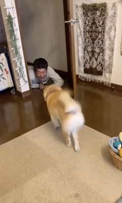 「おかえりぃぃ」