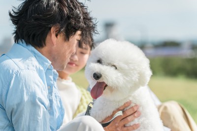 犬と触れ合う男性
