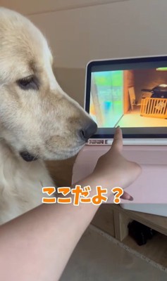 困惑する麹くん5