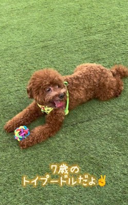 今は元気だけど…